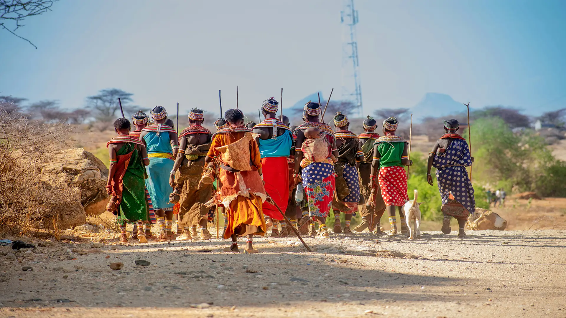 Cultural Lifestyle